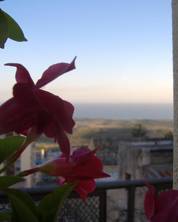 I Tetti Di Girgenti Acomodação com café da manhã Agrigento Exterior foto